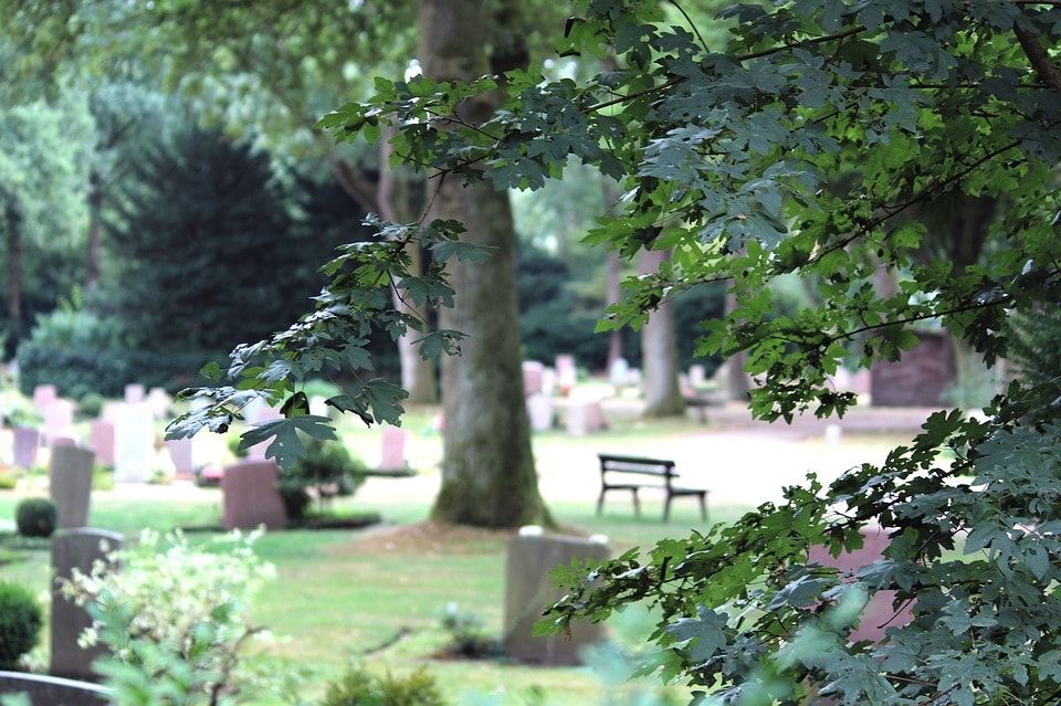 cimetiere dans les bois